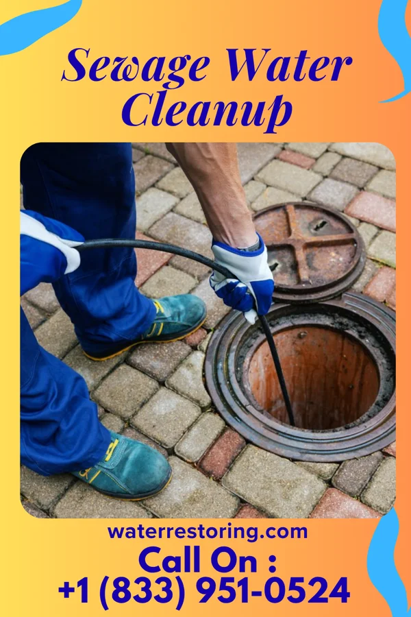 Sewage Water Cleanup in Aurora, MO